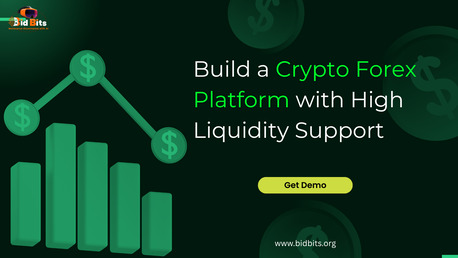 New York, Software Development, Build A Crypto Forex Platform With High Liquidity Support