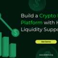 Build A Crypto Forex Platform With High Liquidity Support