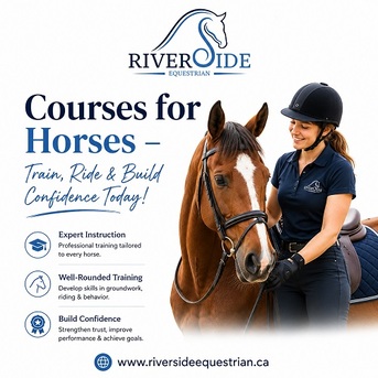 Toronto, Business, Courses For Horses &ndash; Train, Ride & Build Confidence Today!
