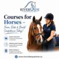 Courses For Horses &ndash; Train, Ride & Build Confidence Today!