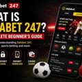 What Is Dafabet 247? A Complete Beginner&rsquo;s Guide