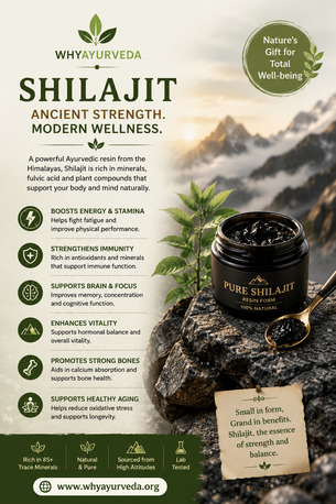 New Delhi, Business, Understanding The Health Benefits Of Shilajit In Ayurveda