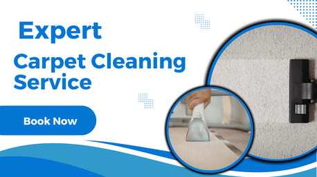 Sydney, Cleaning, Carpet Cleaning Dulwich Hill &mdash; Fresh Carpets, Trusted Local Care.