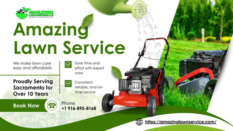 New York, Farm/Garden, Amazing Lawn Service