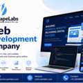Best Website Development Services In Mohali
