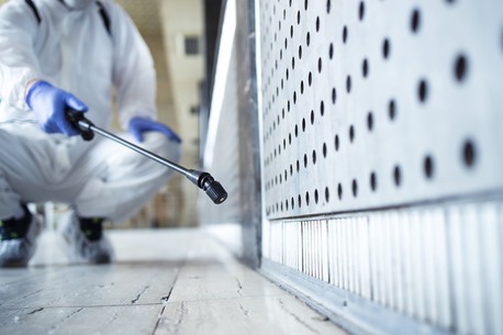 New York, Household, How Much Is Pest Control For Roaches In NYC?