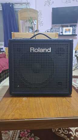 Akrabia, Musical Instruments, ROLAND AMPLIFIER