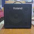 ROLAND AMPLIFIER