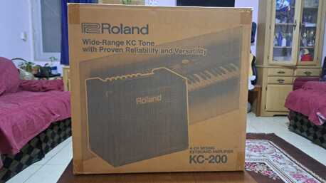 Akrabia, Musical Instruments, ROLAND AMPLIFIER