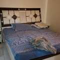 SAR 1700,  Household Furniture