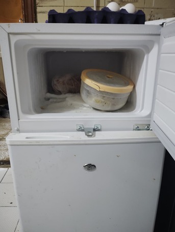 Hara, Household Items, SAR 400,  Refrigerator