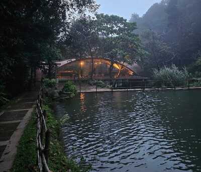 Bangalore, Travel, How To Choose The Right Resort In Sakleshpur For Your Budget