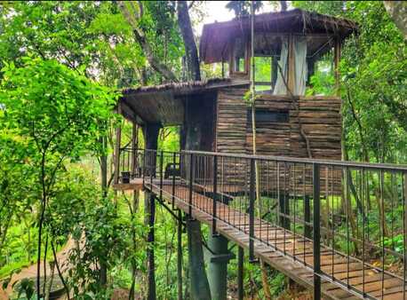 Bangalore, Travel, How To Choose The Right Resort In Sakleshpur For Your Budget
