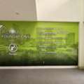 Custom Wall Murals Tampa | Commercial Wall Murals By Amazing Signs