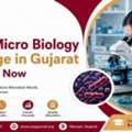 B Sc Micro Biology College In Gujarat | Apply Now