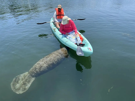 New York, Travel, Three Sisters Springs Kayak Tours | Crystal River Clear Kayak Adventures