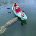 Three Sisters Springs Kayak Tours | Crystal River Clear Kayak Adventures
