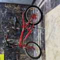 SAR 225,  20&rdquo; Excellent Condition Cycle For Sale