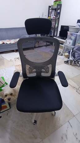 Al Sulaymaniyyah, Furniture, SAR 100,  Ergonomic Office Chair - White
