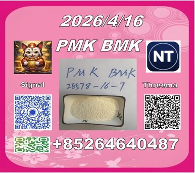 Hong Kong, Materials, CNY 100,  CAS 5449-12-7 BM.K And Cas 28578-16-7 PM.K/Looking For Long-term Buyers