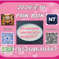 CNY 100,  Fast Shipping Cas28578-16-7PM.K And BM.K Cas5449-12-7/49851-31-2