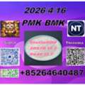 CNY 100,  Prompt Delivery 28578-16-7 PM.K And 5449-12-7 BM.K/49851-31-2