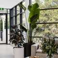 Refined Retirement Living In Sydney The Rose By Moran Wahroonga