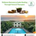 Wellness Retreats In India Healing Through Natural Therapies