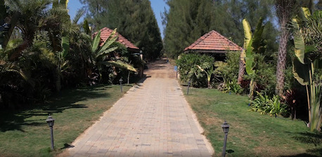 Nagpur, Agricultural Land, Agricultural Land In Nagpur Offering Long-Term Financial Security
