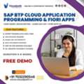 SAP BTP CAP Online Training | SAP BTP CAP Course Online