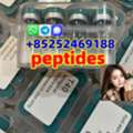 USD 20,  Hot Sale Freeze-Dried Peptide Peptides Tirzepatide Powder CAS 2023788-19-2