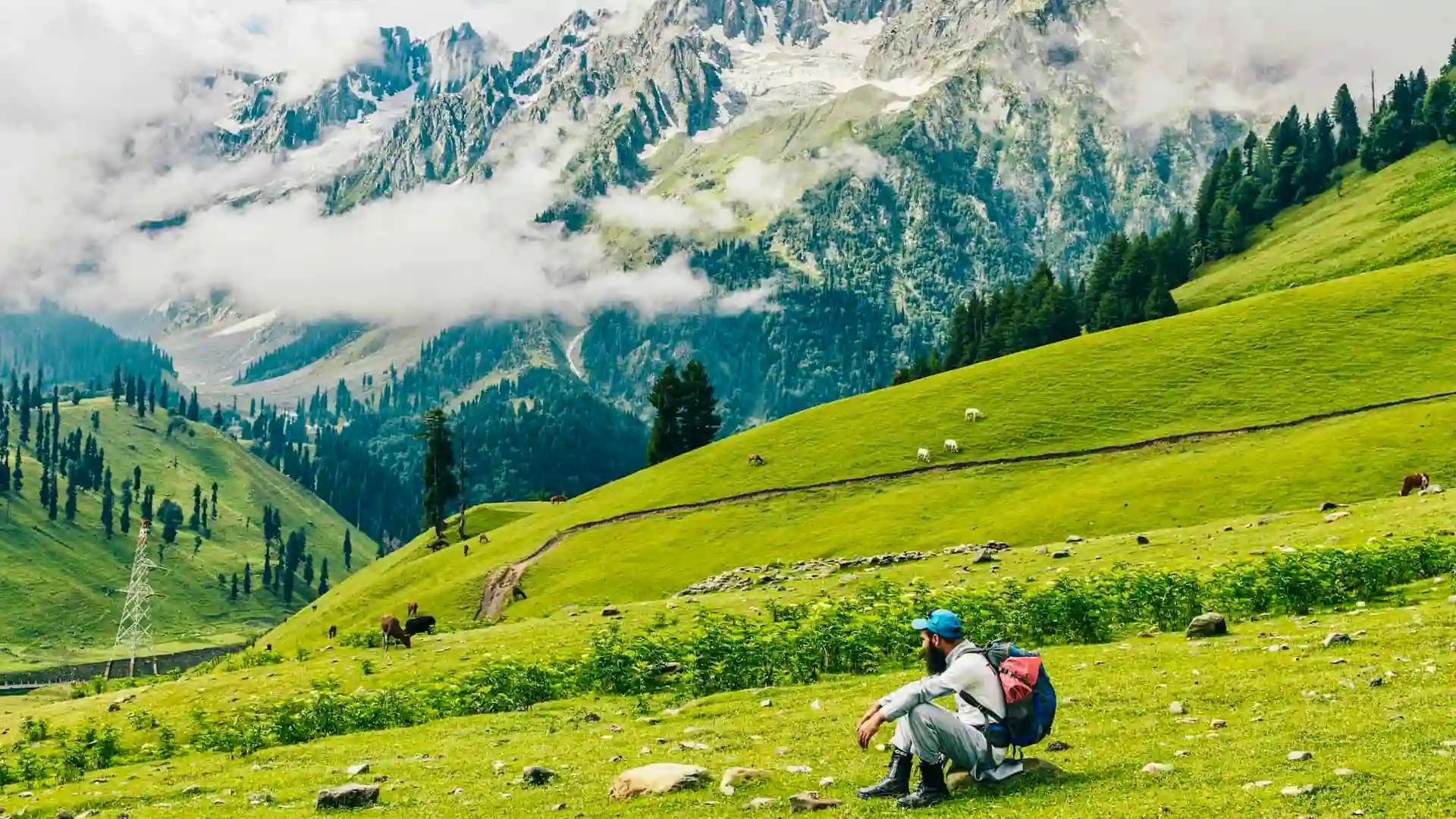 Mumbai, Travel, Kashmir Vs Manali In Summer Which Hill Station Should You Choose In 2026?