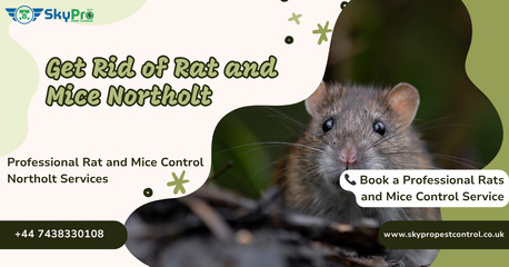 London, Pest Control, Local Rat And Mice Control Northolt Experts &ndash; Humane & Guaranteed