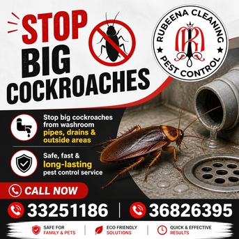 Manama, Pest Control, Summer Pest Control Services Special Offer Just Only 15 BHD