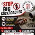 Summer Pest Control Services Special Offer Just Only 15 BHD