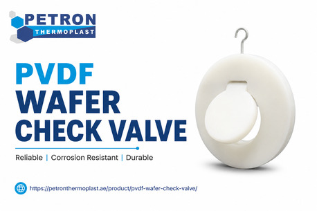 Ras Al Khaimah, Business, PVDF Wafer Check Valve Supplier In UAE | Petron Thermoplast
