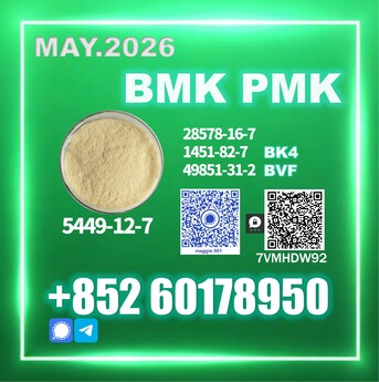 Brussels, Materials, USD 170,  2026 Upgraded New B.MK 5449-12-7 PM.K Best Price