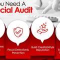 Searching For Trusted Financial Audit Services In UAE? Start Here