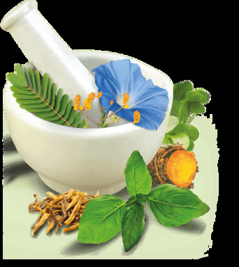 New Delhi, Health, Ayurvedic Treatment For Piles In Delhi