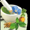 Ayurvedic Treatment For Piles In Delhi