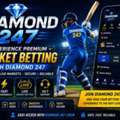 Experience Premium Cricket Betting With Diamond 247
