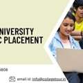 Shoolini University Online Msc Placement