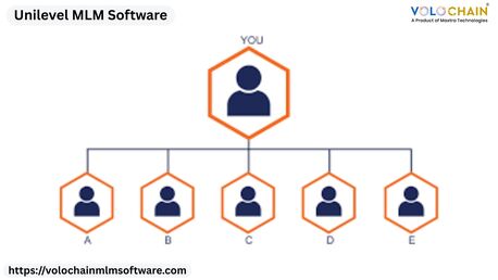 Noida, Software Development, Start Scaling Faster With Unilevel MLM Software Growth Solutions