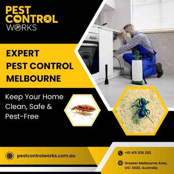Melbourne, Cleaning, Pest Control Services In Brunswick For Homes & Commercial Sites | Pest Control Works