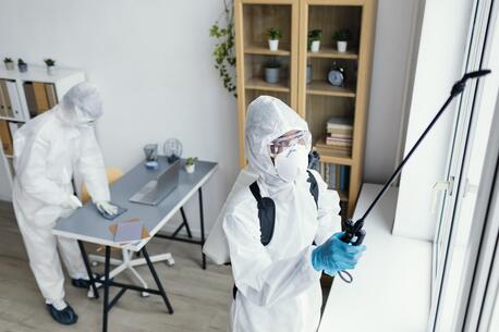 Toronto, Pest Control, Saskatoon Pest Extermination Services - Protect Your Home Today