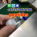 USD 20,  Peptides Retatrutide CAS 2023788-19-2