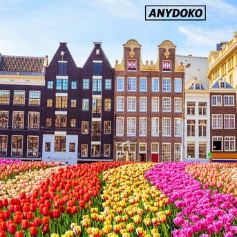 Hong Kong, Travel, Smart Travel Guide For Spending One Day In Amsterdam