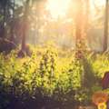 Recovery Retreats In Virginia For Fitness, Healing & Wellness