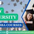 Amity University Online BBA Courses