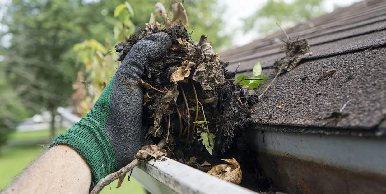 Dallas, Cleaning, Gutter Maintenance In Granbury TX For Long-Lasting Gutters